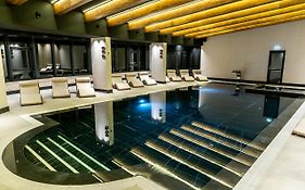 Hotel Roman Maramures